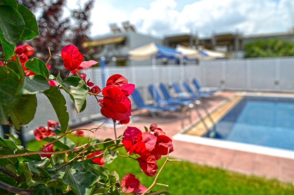 Oliv Apartments Платанес Номер фото